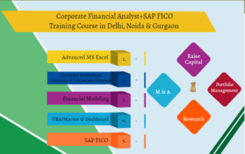 Financial Modeling Certification Course in Delhi.