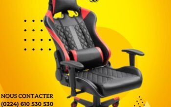 Chaise Ergonomique