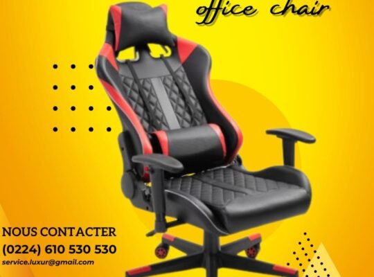 Chaise Ergonomique