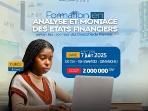 maîtriser l’analyse et le des états financiers