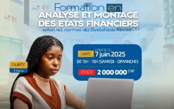 maîtriser l’analyse et le des états financiers
