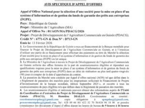 Appel d’Offres National pour la sélection d’une société pour la mise en place d’un système d’information et de gestion du fonds de garantie des prêts auxentreprises (FGPE).