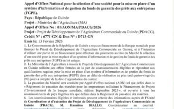 Appel d’Offres National pour la sélection d’une société pour la mise en place d’un système d’information et de gestion du fonds de garantie des prêts auxentreprises (FGPE).